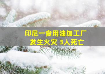 印尼一食用油加工厂发生火灾 3人死亡